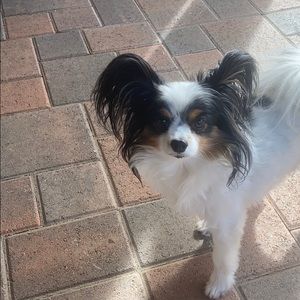 Meet your Posher, Doug